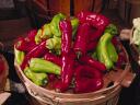 Travel India.Mirchi.A Bowl of Chillies