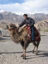 Travel India.Leh.Riding a Double Humped Camel